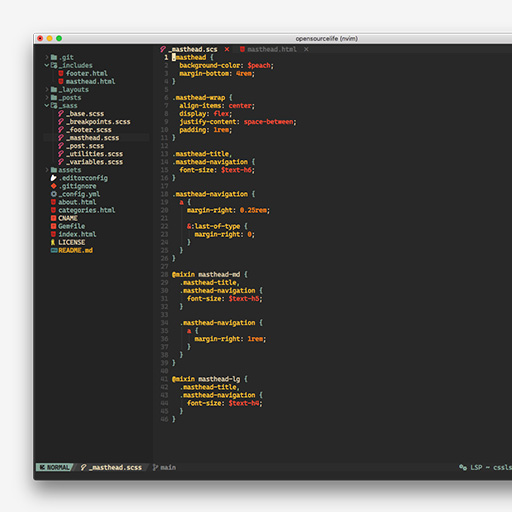 Neovim setup with NvChad